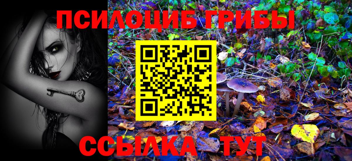 Галлюциногенные грибы Magic Shrooms Кингисепп